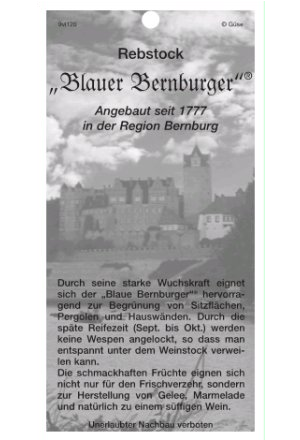 Blauer Bernburger Etikettrückseite